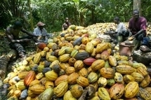 Des Ivoiriens pro-Gbagbo s'en prennent aux commerces étrangers