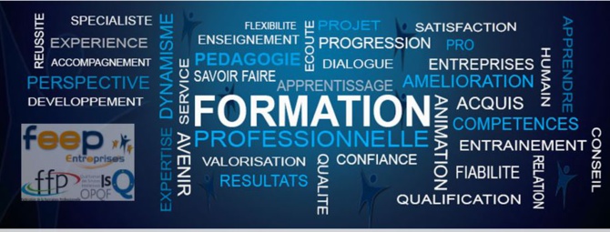 FORMATION PROFESSIONNELLE: 40 milliards injectés la réforme du secteur