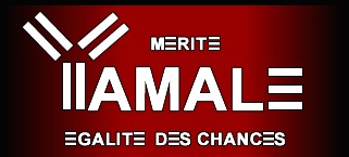 Le Mouvement de Bara Tall s'internationalise, Yamalé Diaspora voit le jour à Montréal au Canada