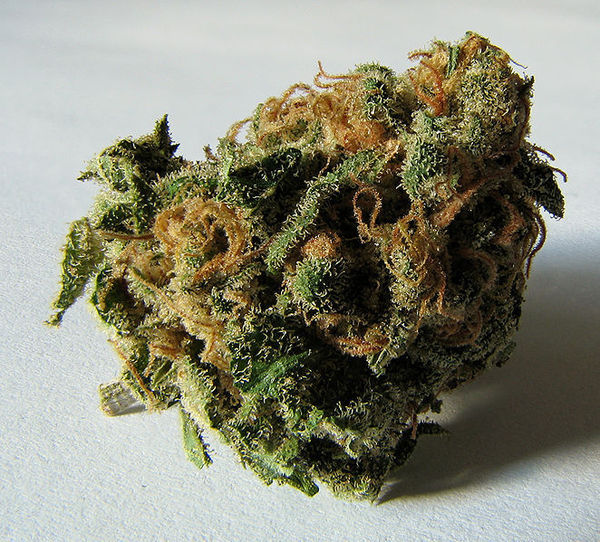 Un rapport souligne l’étendue du trafic de cannabis en Afrique