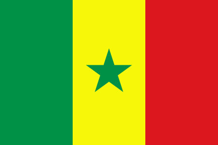 Pourquoi la démission n'est pas sénégalaise ?
