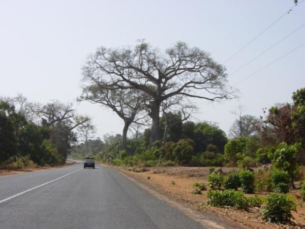 Conflit entre chauffeurs sénégalais et gambiens :Le Premier ministre s'investit pour un solution heureuse