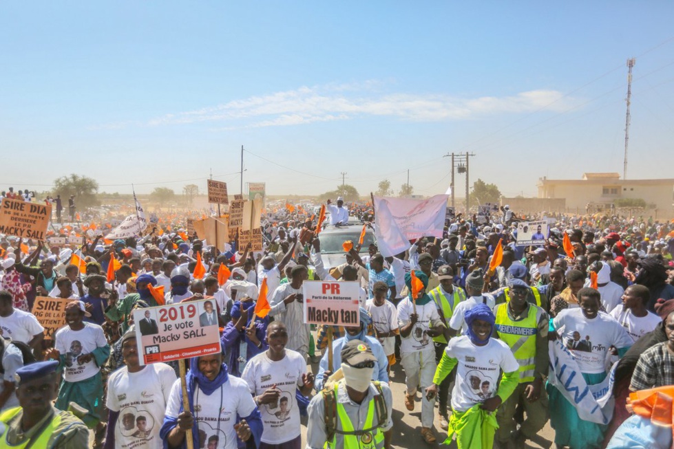 Journée nationale de l’Elevage : le Parti de la réforme mobilise, Amadou Dawa Diallo liste les défis à relever