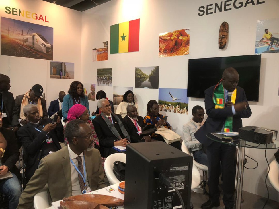 PHOTOS- Mame Thierno Dieng, le ministre de l'Environnement au Cop24