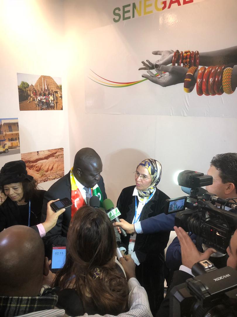PHOTOS- Mame Thierno Dieng, le ministre de l'Environnement au Cop24