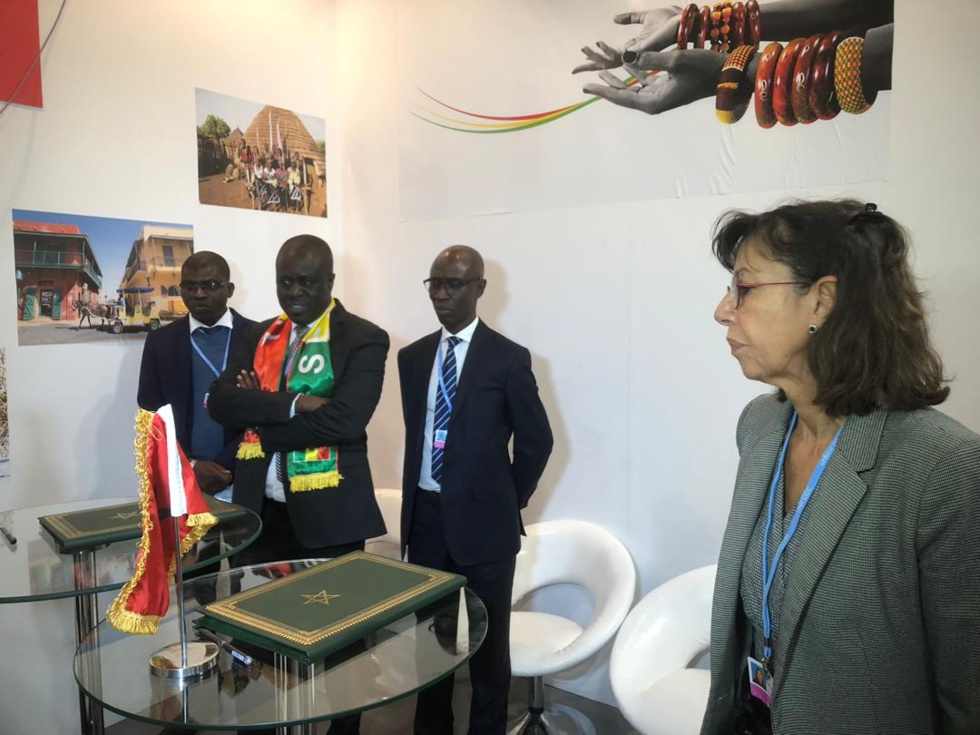 PHOTOS- Mame Thierno Dieng, le ministre de l'Environnement au Cop24