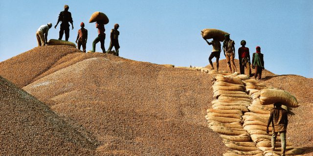 Filière arachidière : les opérateurs stockeurs réclament 6 milliards à la Sonacos Filière arachidière : les opérateurs stockeurs réclament 6 milliards à la Sonacos