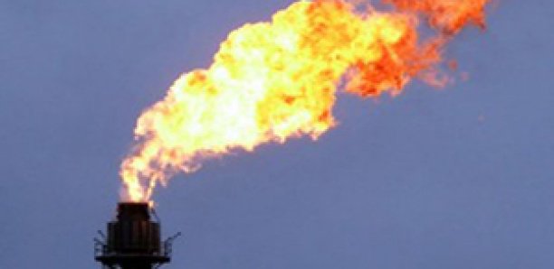 Gaz sénégalais: Bp annonce l’adoption de la décision finale d’investissement