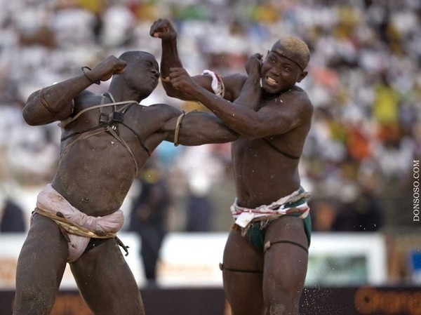 La lutte avec frappe est en train de tuer la boxe au Sénégal (DTN)