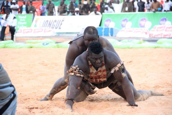 Photos : Les supporters de Modou Lô se consolent avec cette photo de Balla Gaye 2