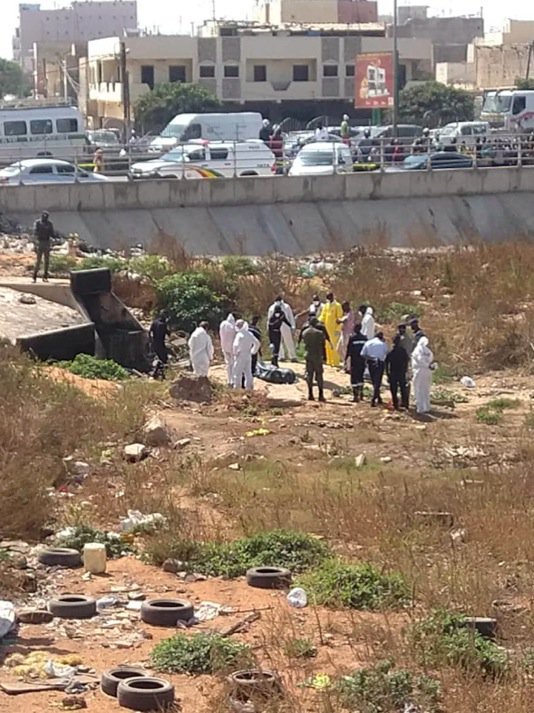 Images-Découvertes macabres prés du  Pont de l’émergence (Âmes sensible s’abstenir)