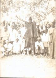 BIGNONA - BAKOLONG BADJI MONTE AU CIEL : L’histoire d’une ascension mal connue