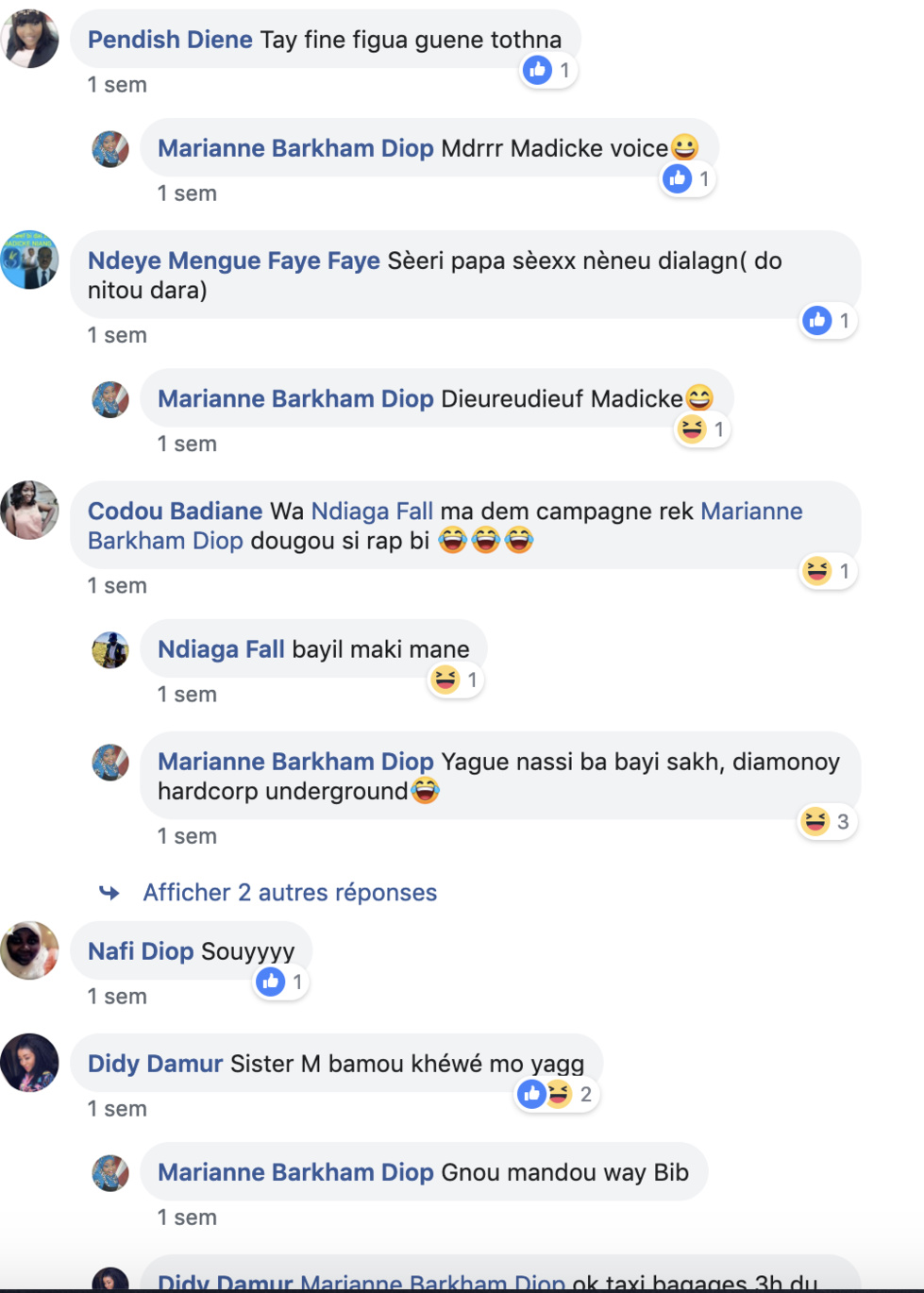 Voici le dernier message de Marianne Barkhane DIOP sur internet