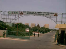 GRANDE NUIT CULTURELLE DE DENTAL /UCAD : FAIRE DE LA LANGUE HAL PULAAR UN VEHICULE DE L’INTEGRATION AFRICAINE