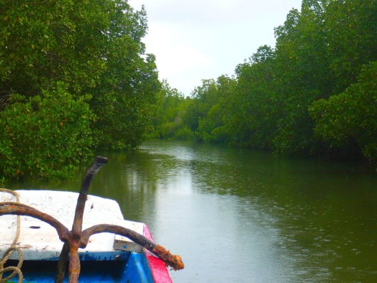 Casamance : Une fille de 10 ans tombe et meurt dans un canal
