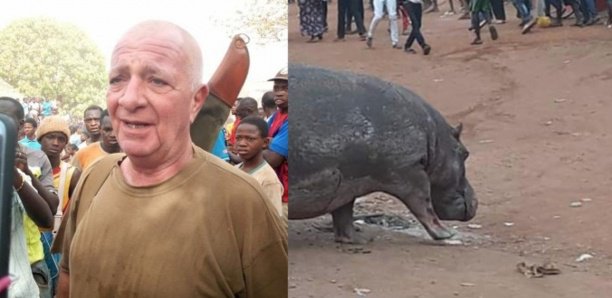 Hippopotame tué à Kédougou : la polémique enfle