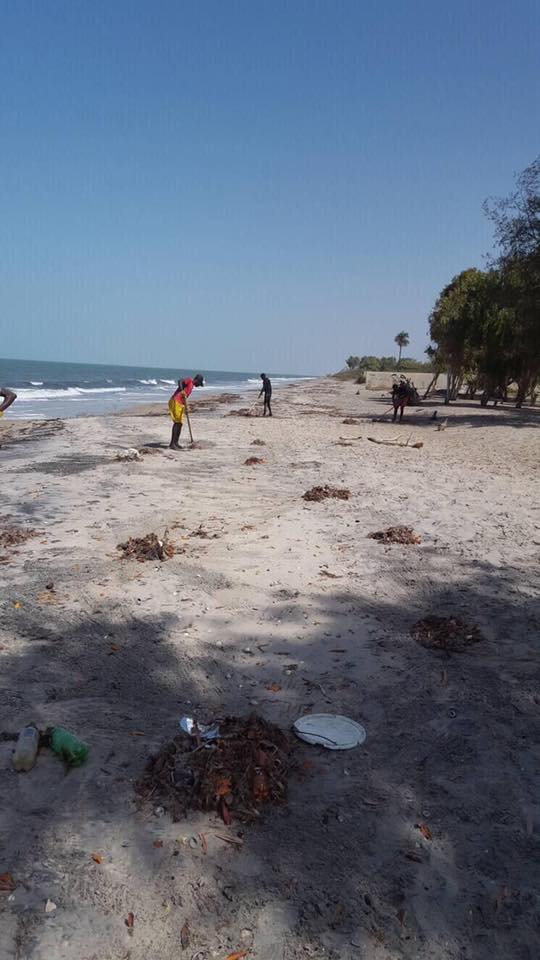 Photos : TrashChallenge, les volontaires de Palmarin nettoient le littoral