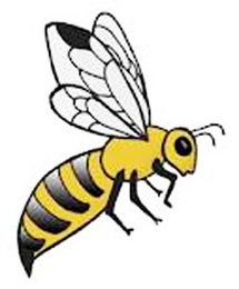 Vélingara : un cadavre abandonné en plein enterrement à cause des abeilles