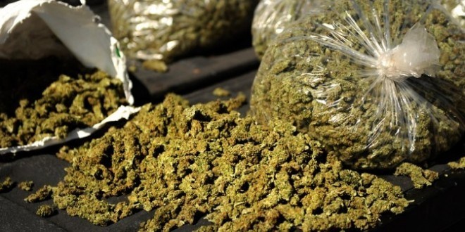 Kaolack - Trafic de drogue : Lamine Sané écope de 10 ans de prison