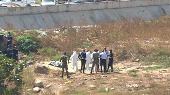 Kédougou : 4 enfants d’une même famille retrouvés morts dans la forêt