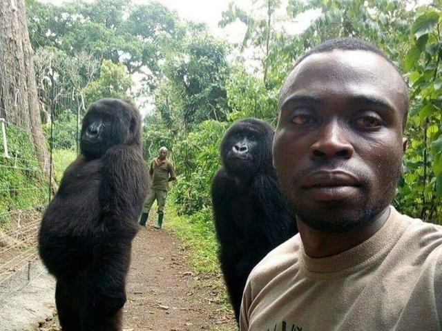 Arrêt sur image - Cette surprenante photo pourrait bien être le selfie de l’année
