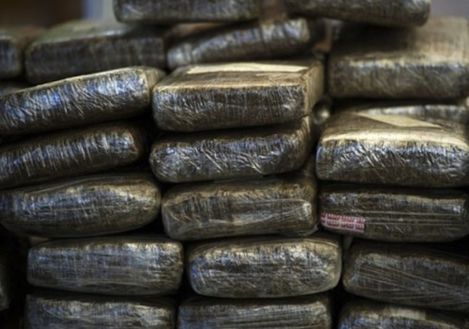Kédougou : La Douane saisit 915 kg de chanvre indien estimés à 65 millions FCFA