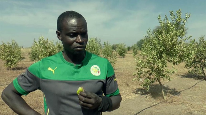 Ferdinand Coly : "Je vais renoncer à ma nationalité sénégalaise, je n’en peux plus"