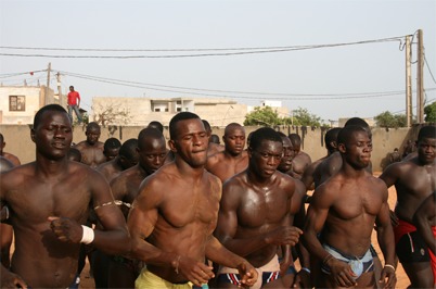 Carrefour des Champions (CACH) : Aziz Ndiaye veut 32, 64 lutteurs pour 10 millions