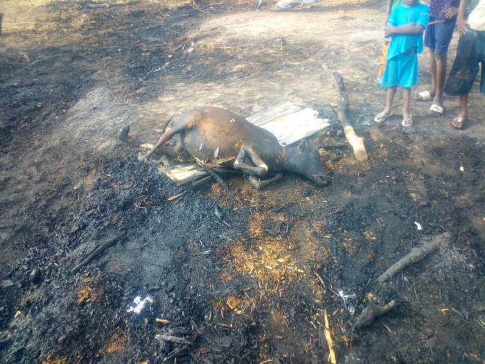 Images de l'incendie dans le village Kossy Aly Gueye
