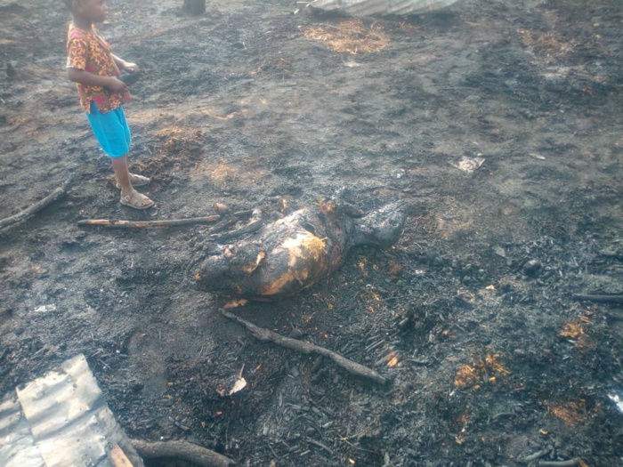 Images de l'incendie dans le village Kossy Aly Gueye