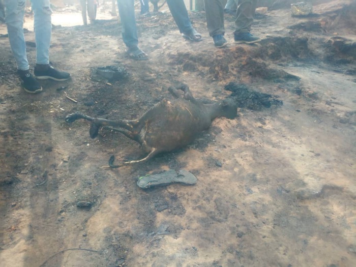 Images de l'incendie dans le village Kossy Aly Gueye