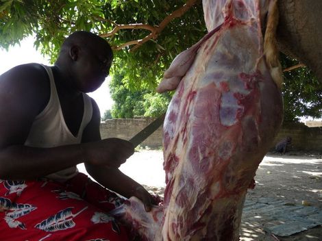 [Photos] Ndoye Bane et son mouton de Tabaski