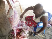 [Photos] Ndoye Bane et son mouton de Tabaski