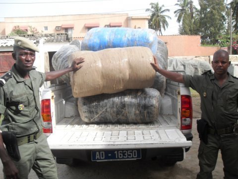 Trafic de stupéfiants: Ziguinchor carrefour du « Yamba »