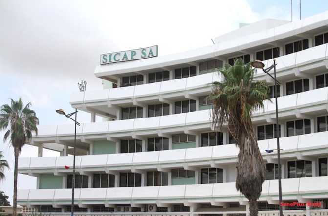 Litige foncier à Liberté 6 extension: la Sicap vend un terrain appartenant à la mosquée... à un promoteur immobilier