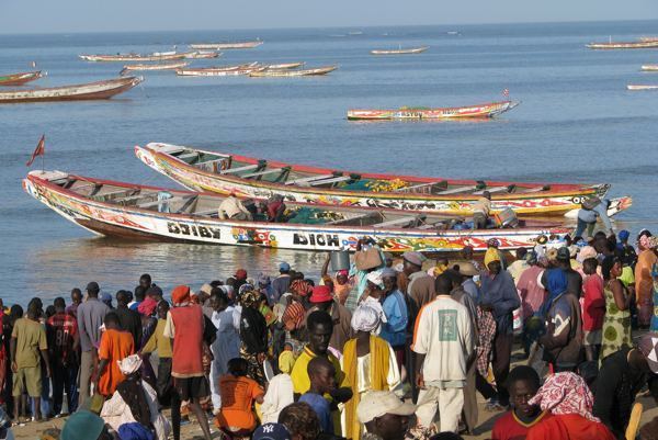 Pêche artisanale africaine : La CAOPA, pour la transparence dans la pêche maritime en Afrique