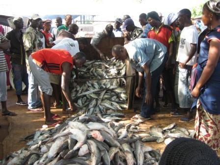 ALIMENTATION: La pêche artisanale peut aider à combler les besoins alimentaires des populations