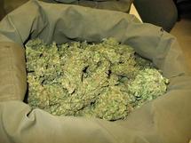 Mor.G, le dealer récidiviste tombe avec plus de 10 cornets de « Yamba »