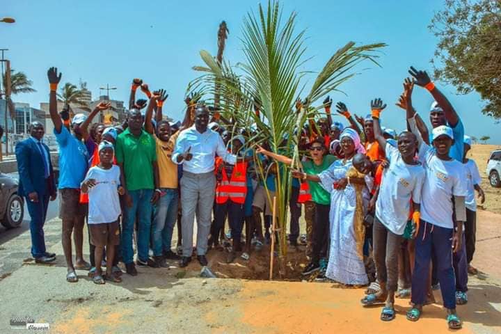 PHOTOS - Programme de remplacement des palmiers de la Corniche avec le ministre Abdou K. FOFANA et l’association Ecolibri
