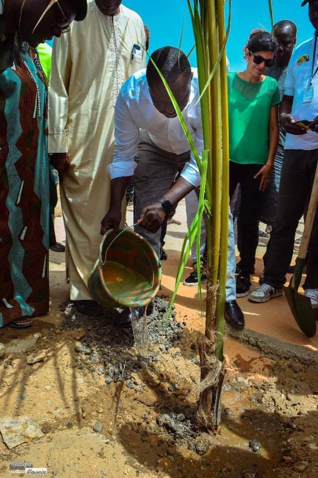 PHOTOS - Programme de remplacement des palmiers de la Corniche avec le ministre Abdou K. FOFANA et l’association Ecolibri