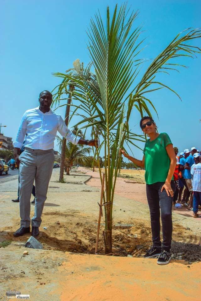 PHOTOS - Programme de remplacement des palmiers de la Corniche avec le ministre Abdou K. FOFANA et l’association Ecolibri