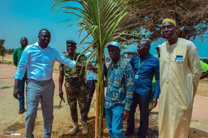 PHOTOS - Programme de remplacement des palmiers de la Corniche avec le ministre Abdou K. FOFANA et l’association Ecolibri