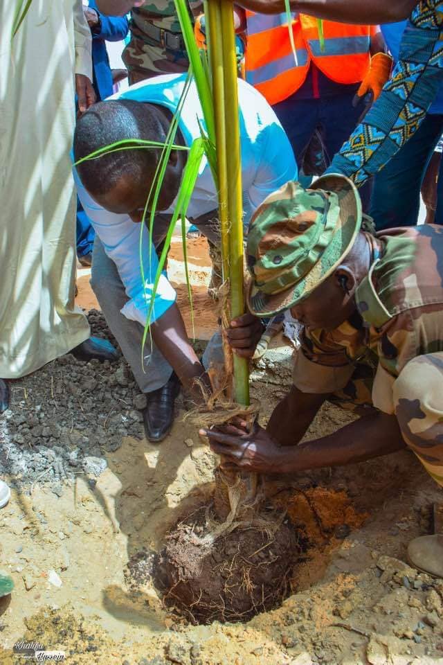 PHOTOS - Programme de remplacement des palmiers de la Corniche avec le ministre Abdou K. FOFANA et l’association Ecolibri