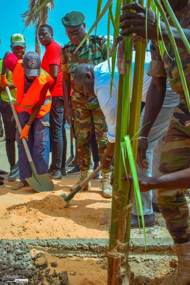 PHOTOS - Programme de remplacement des palmiers de la Corniche avec le ministre Abdou K. FOFANA et l’association Ecolibri