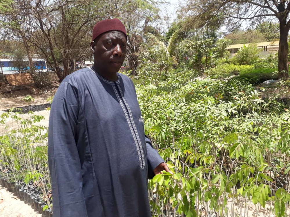 L’Uncefs accompagne la politique nationale de reforestation du gouvernement…