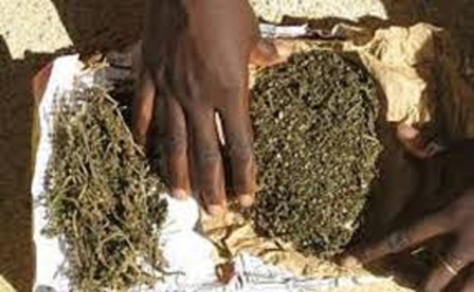 Transport Bignona-Grand Yoff: des apprentis se disputent 2,5kg de yamba et atterrissent à la police
