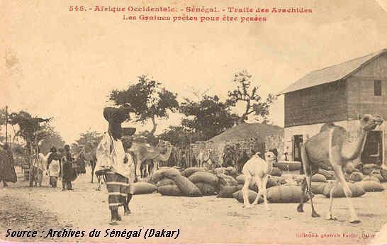 ( Photo Archive ) -Traite de l'arachides: Les graines prêtes pour être pressées.