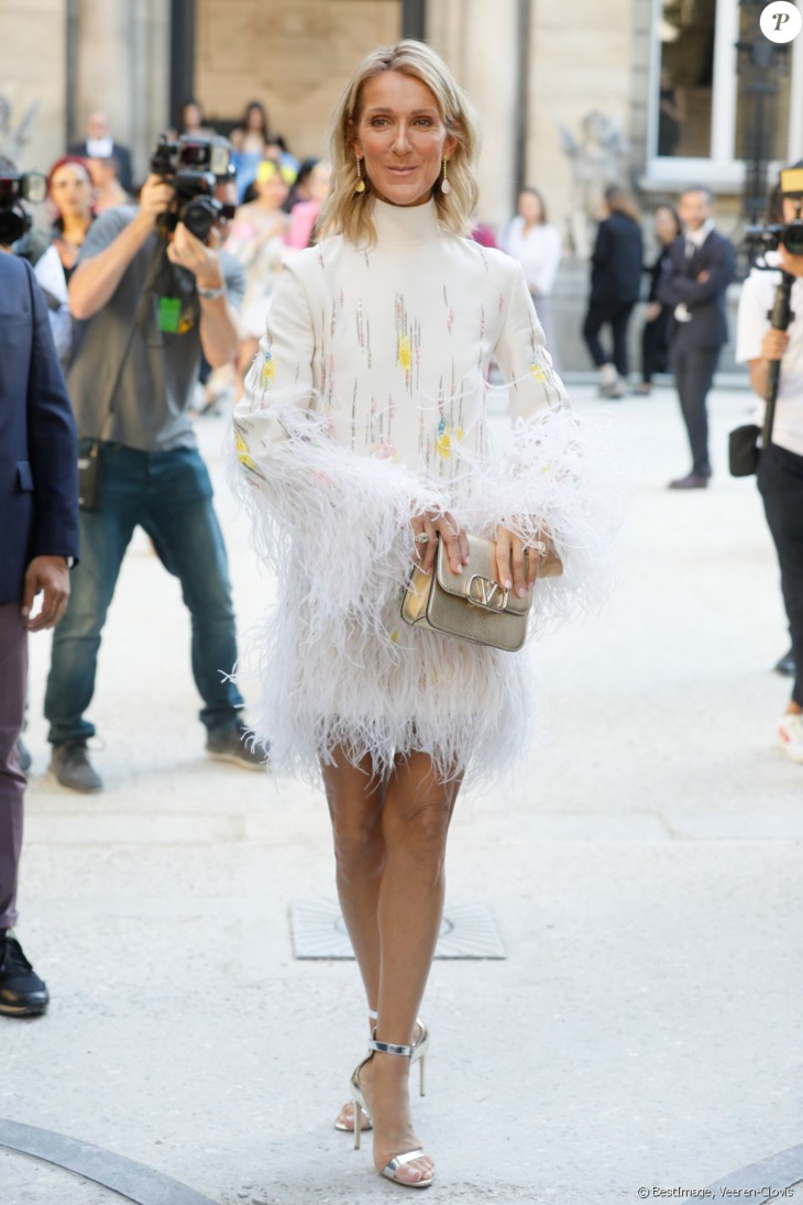 PHOTOS - Céline Dion : Angélique à Paris, avec Gwyneth Paltrow et Louise Bourgoin