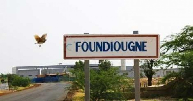 Foundiougne : Le programme Mangrove évalué