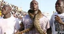Ndéye Ndack, Ama Baldé et les serpents